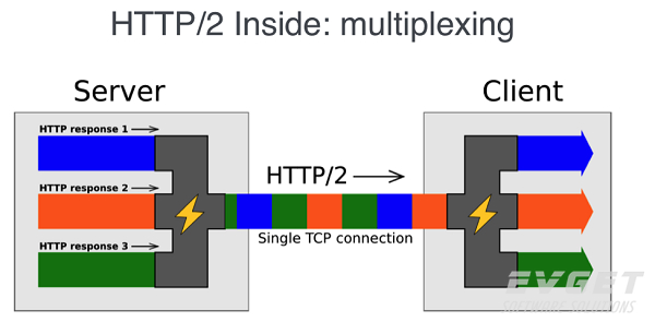 確定HTTP/2是否適用